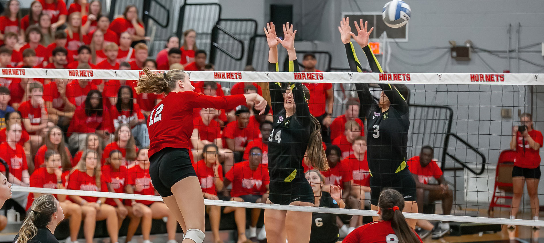 Lynchburg Volleyball Camps